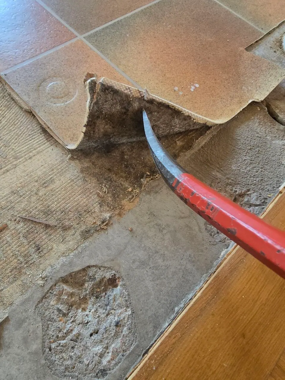 Asbestsanering i Bjärred, bild 1